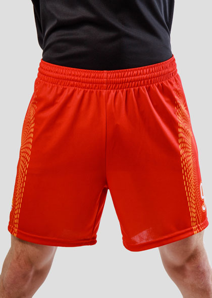 Волейбольные шорты мужские VOL-AMS-02-SUBL