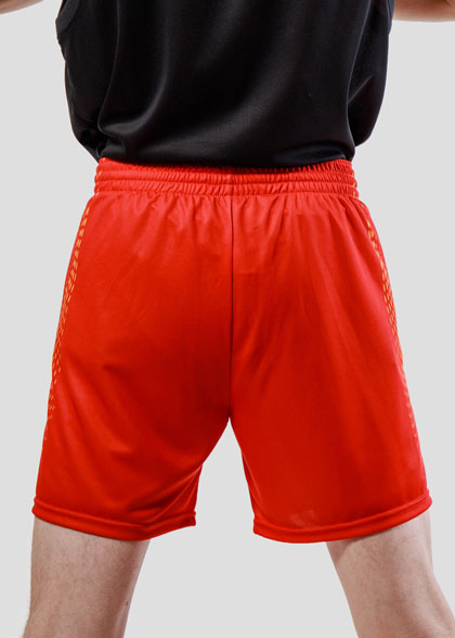 Волейбольные шорты мужские VOL-AMS-02-SUBL