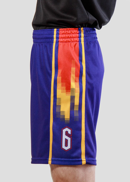 Волейбольные шорты мужские VOL-AMS-01-SUBL